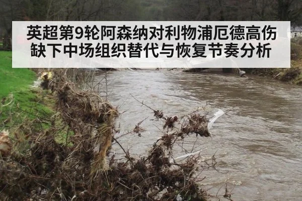 英超第9轮阿森纳对利物浦厄德高伤缺下中场组织替代与恢复节奏分析